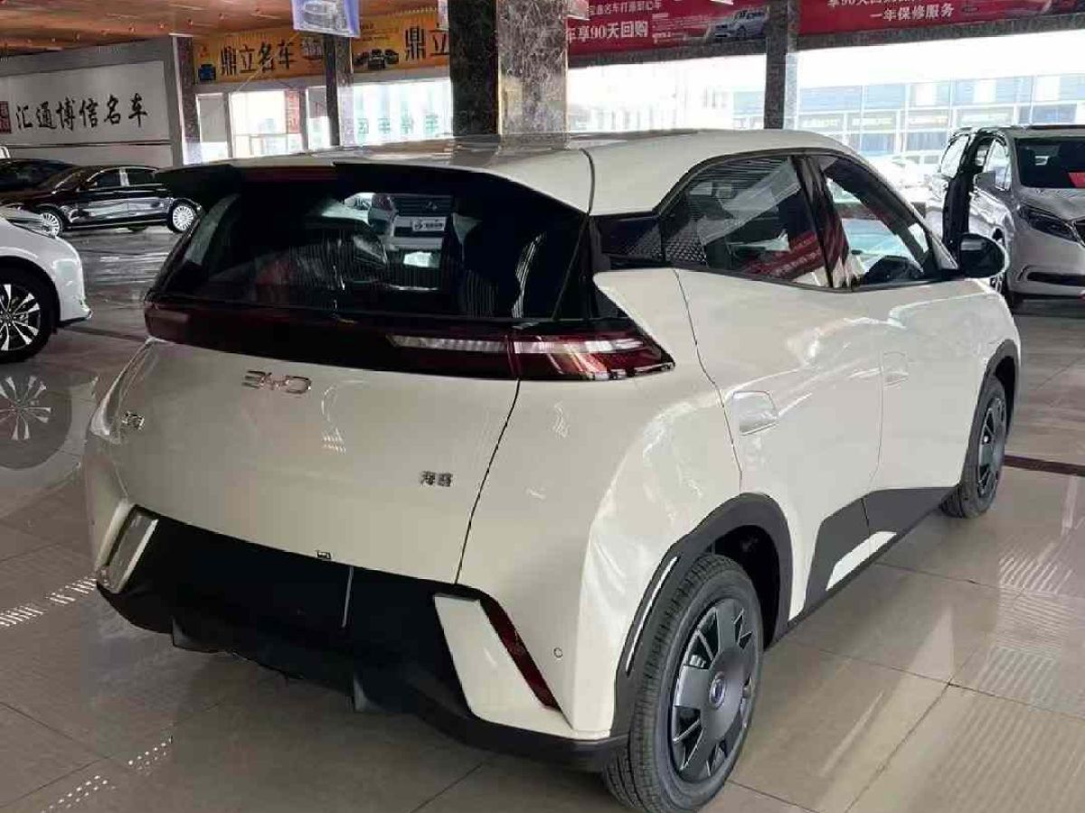 比亞迪 宋L DM-i  2024款 112km 超越型圖片