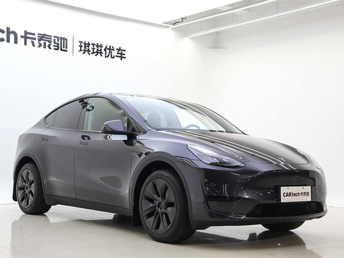 特斯拉 Model Y  2020款 改款 長續(xù)航后輪驅(qū)動(dòng)版圖片