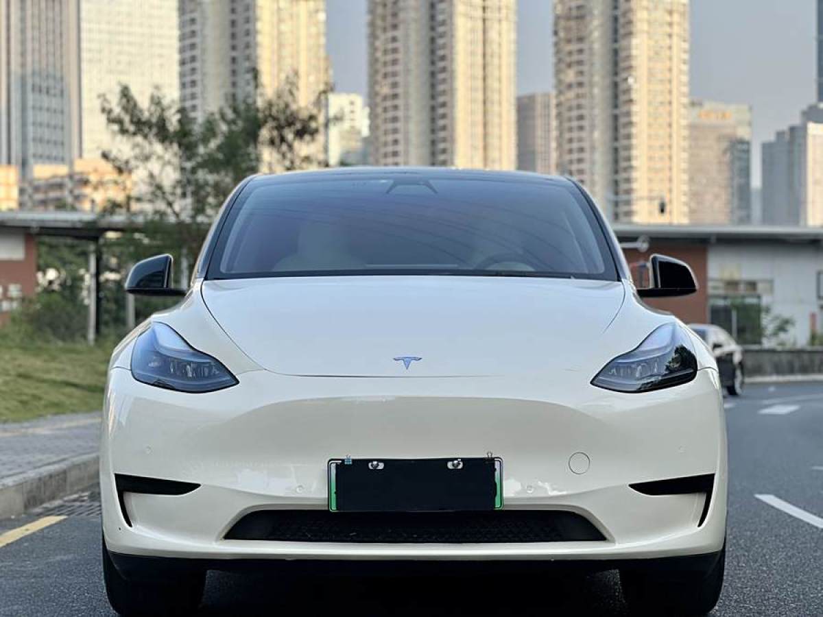 特斯拉 Model 3  2022款 后輪驅(qū)動版圖片