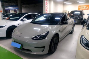 Model 3 特斯拉 改款 標(biāo)準(zhǔn)續(xù)航后驅(qū)升級(jí)版