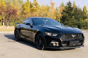 Mustang 福特 2.3T 性能版