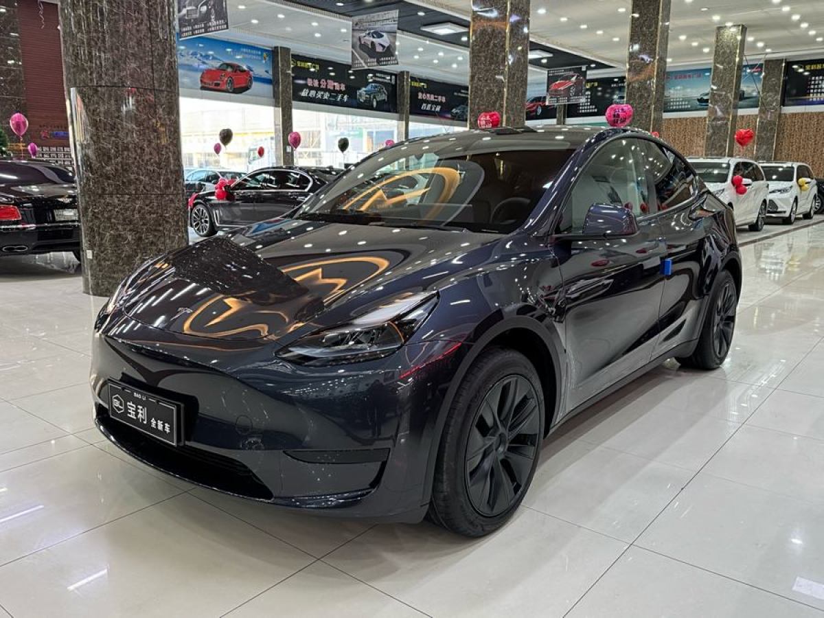 特斯拉 Model 3  2020款 改款 長(zhǎng)續(xù)航后輪驅(qū)動(dòng)版圖片