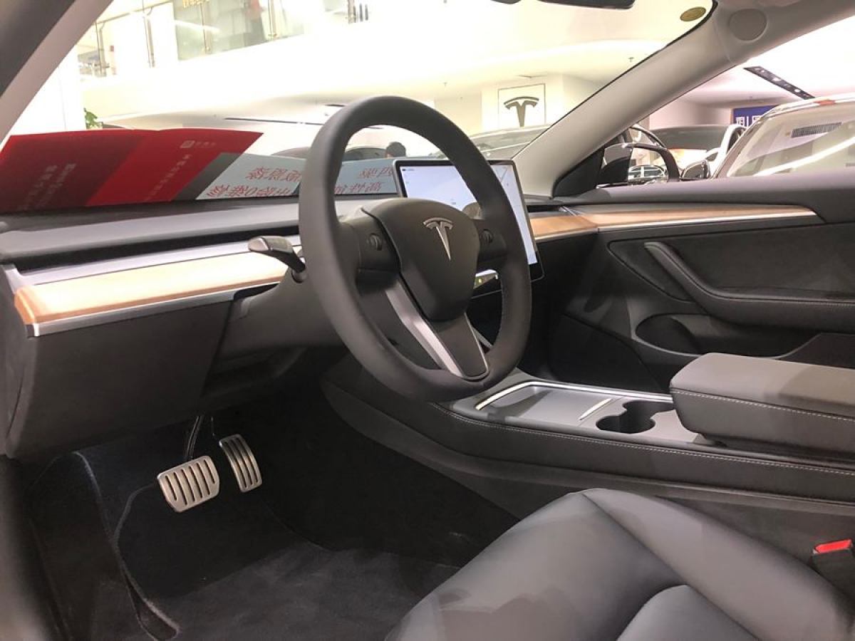 2023年1月特斯拉 Model 3  2022款 Performance高性能全輪驅(qū)動版