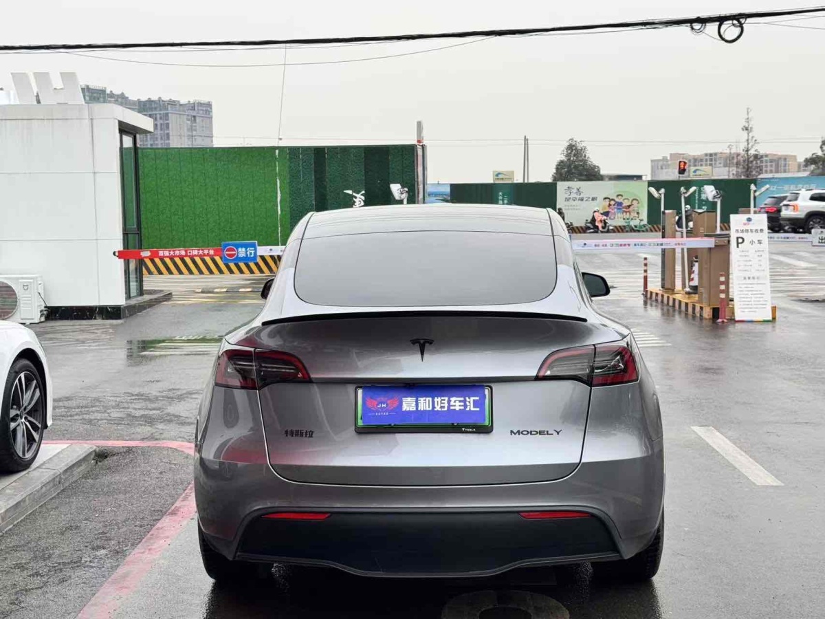 特斯拉 Model 3  2020款 改款 長續(xù)航后輪驅(qū)動版圖片