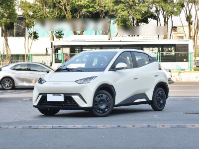 2025年4月 比亞迪 海鷗 榮耀版 305km 活力版圖片