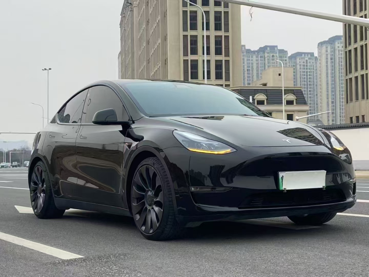 特斯拉 Model 3  2022款 Performance高性能全輪驅(qū)動(dòng)版圖片