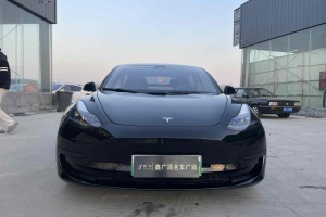 Model 3 特斯拉 標(biāo)準(zhǔn)續(xù)航后驅(qū)升級版