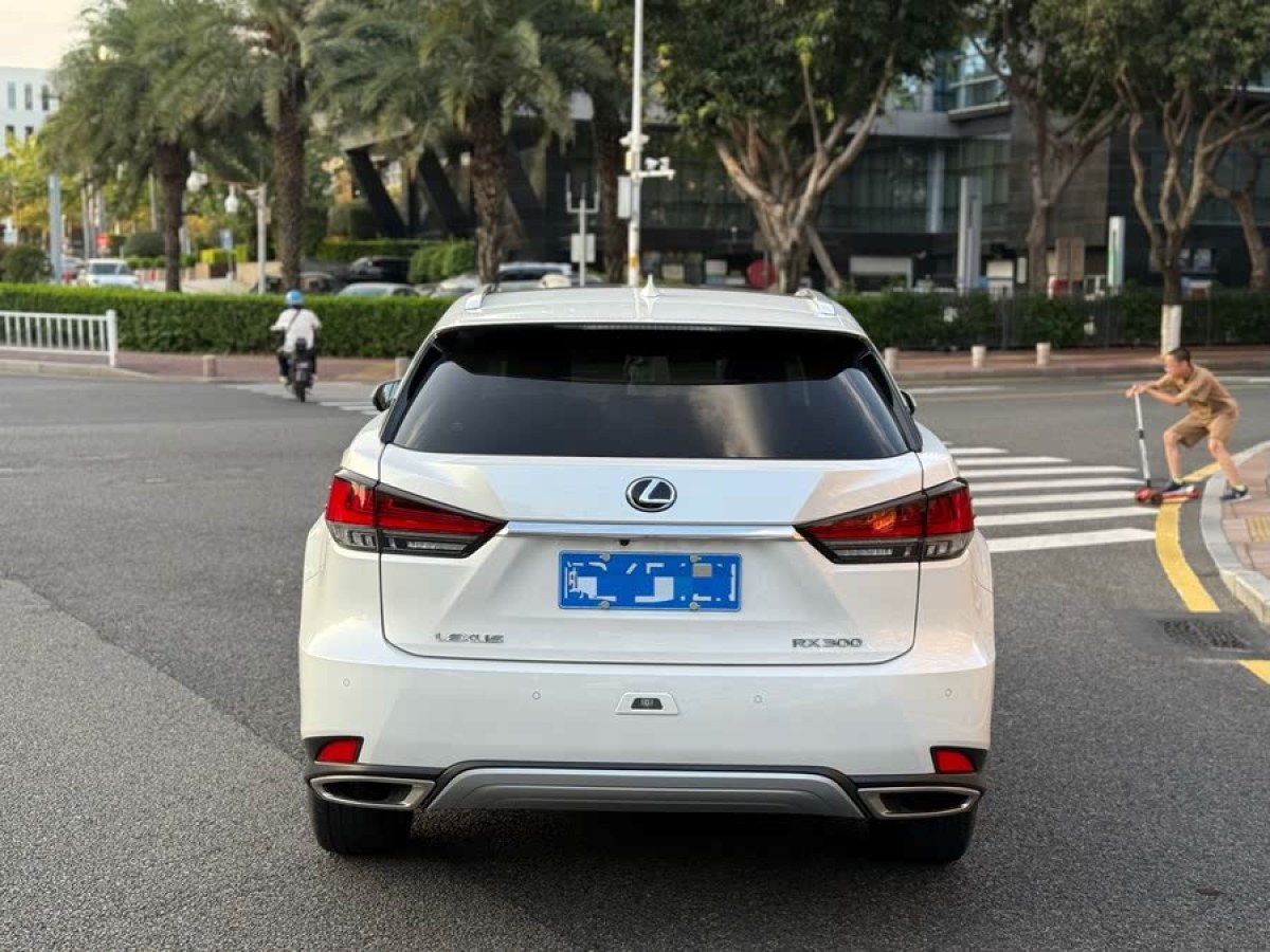 雷克薩斯 RX  2020款 300 四驅(qū)典雅版 國(guó)VI圖片