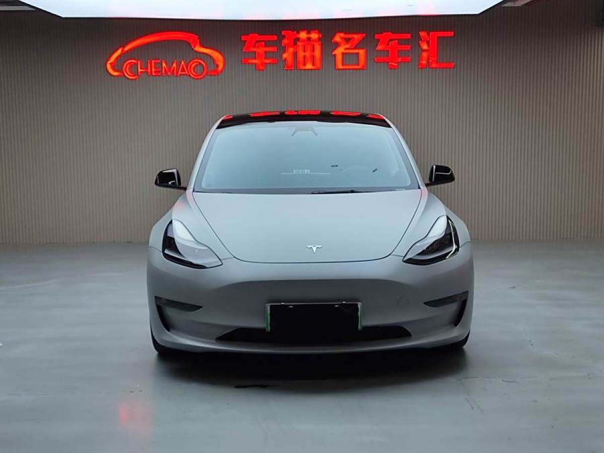 2021年4月特斯拉 Model Y  2021款 改款 Performance高性能全輪驅動版