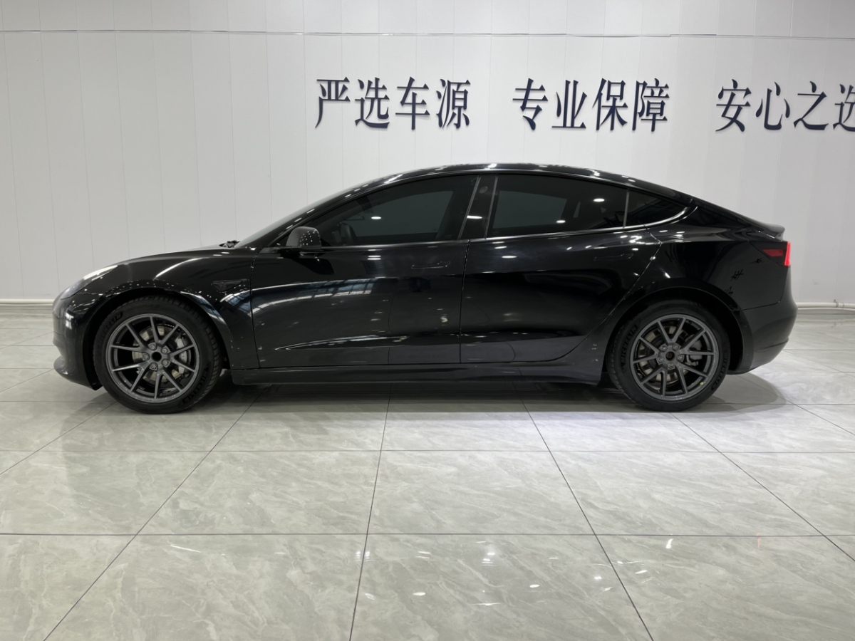 特斯拉 Model 3  2021款 標(biāo)準(zhǔn)續(xù)航后驅(qū)升級版 3D6圖片