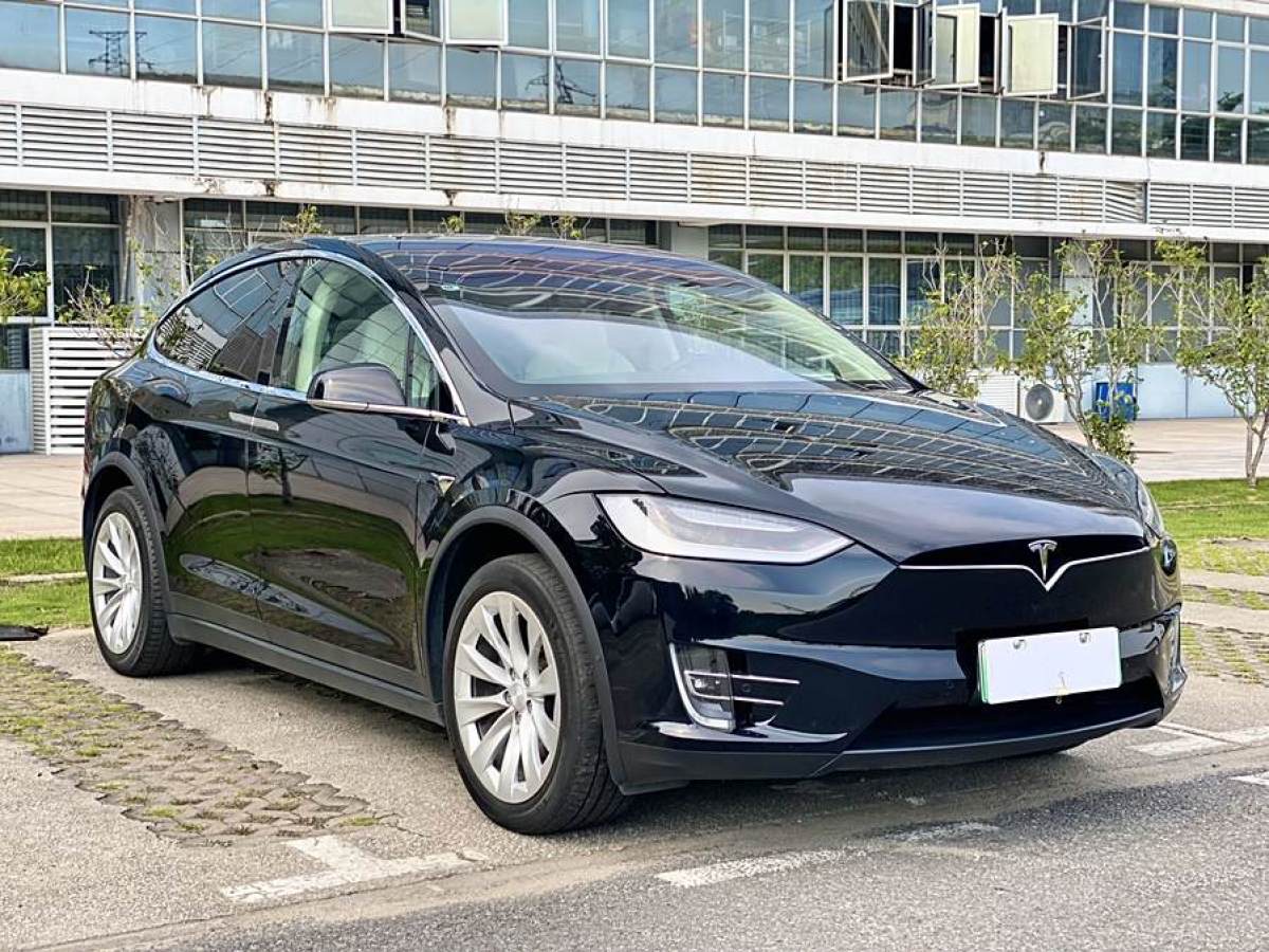 2019年4月特斯拉 Model X  2017款 Model X 100D 長續(xù)航版