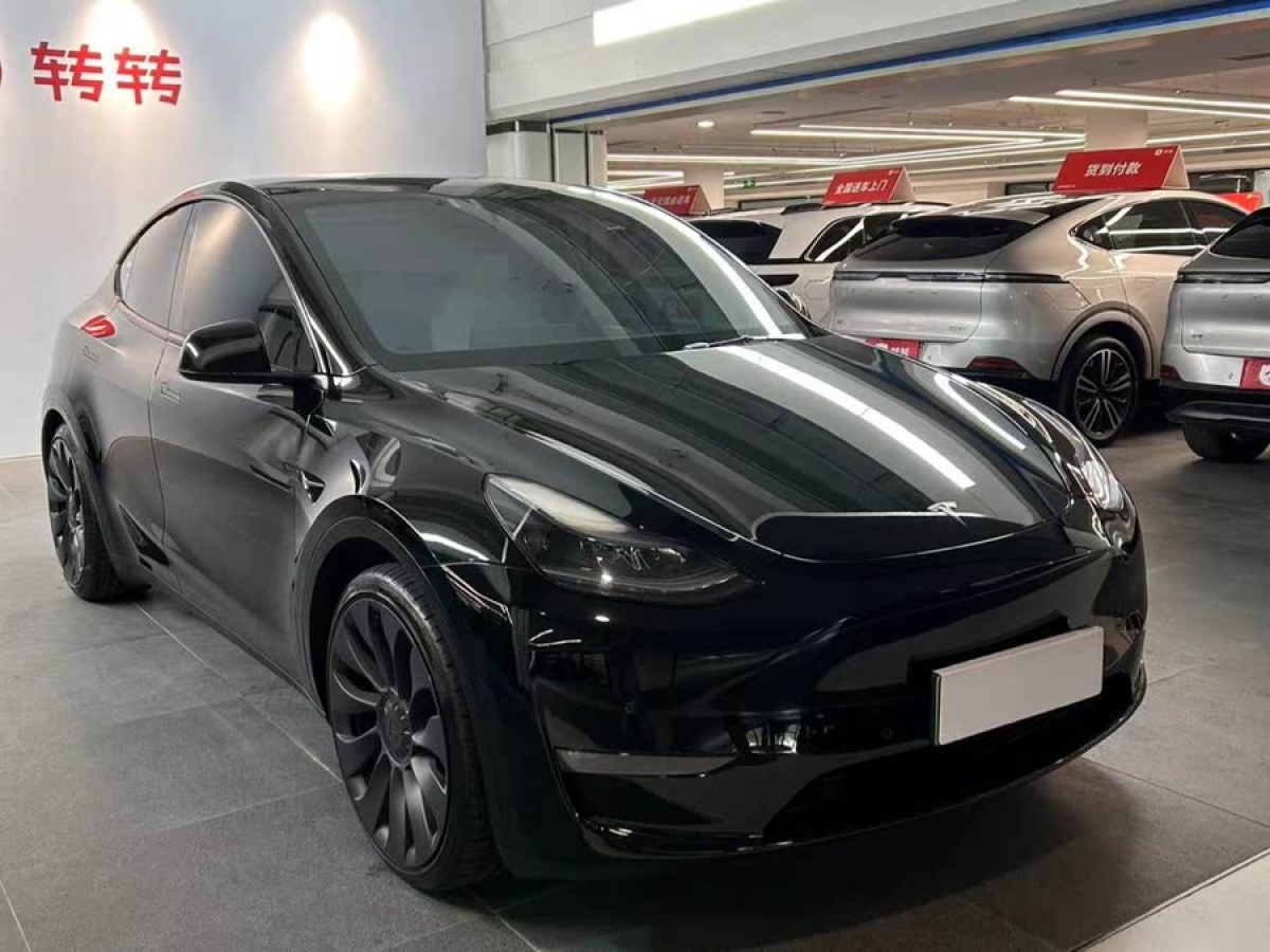特斯拉 Model Y  2022款 Performance高性能全輪驅(qū)動版圖片