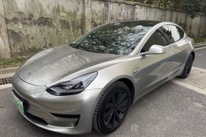 Model 3 特斯拉 标准续航后驱升级版