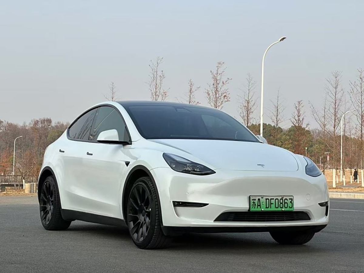 特斯拉 Model 3  2022款 后輪驅(qū)動版圖片