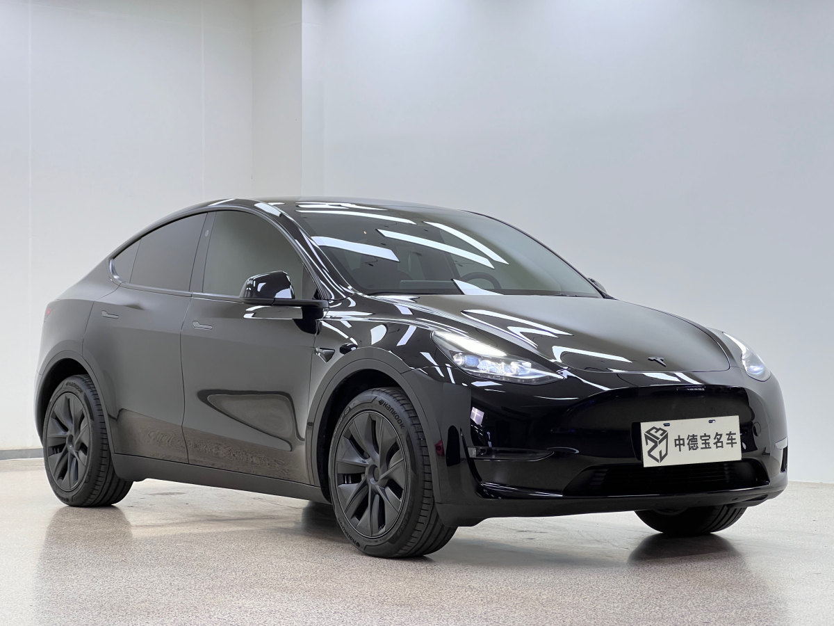 2024年8月特斯拉 Model Y  2023款 長續(xù)航煥新版 雙電機全輪驅(qū)動