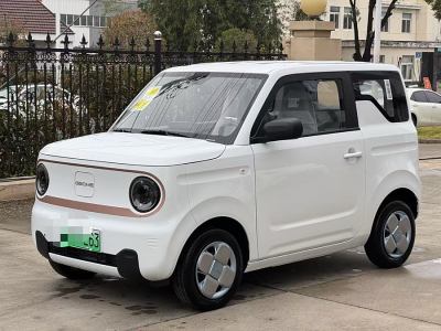 2025年1月 吉利 熊貓mini 200km 耐力熊圖片