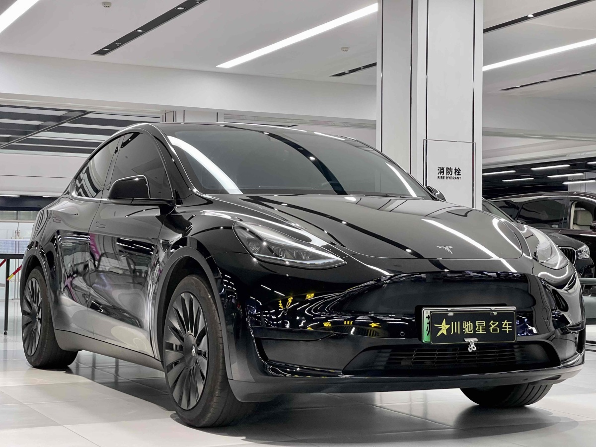 特斯拉 Model X  2016款 Model X 75D圖片