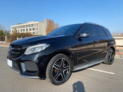 2019年2月 奔馳 奔馳GLE AMG AMG GLE 43 4MATIC圖片