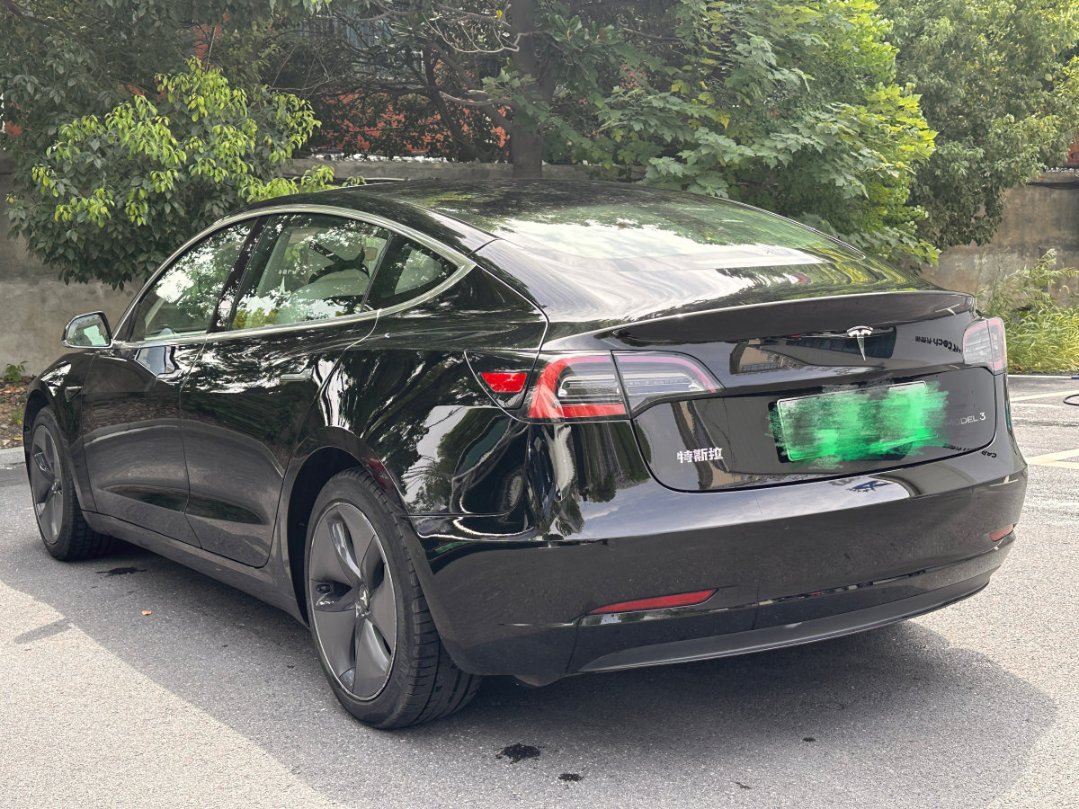 特斯拉 Model 3  2019款 標準續(xù)航后驅(qū)升級版圖片