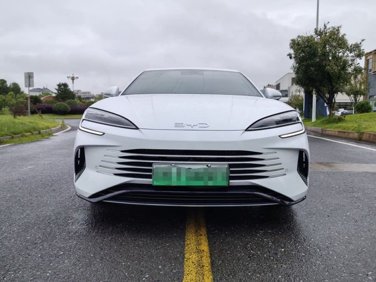比亞迪 海豹  2023款 DM-i 1.5L 121km 豪華型圖片