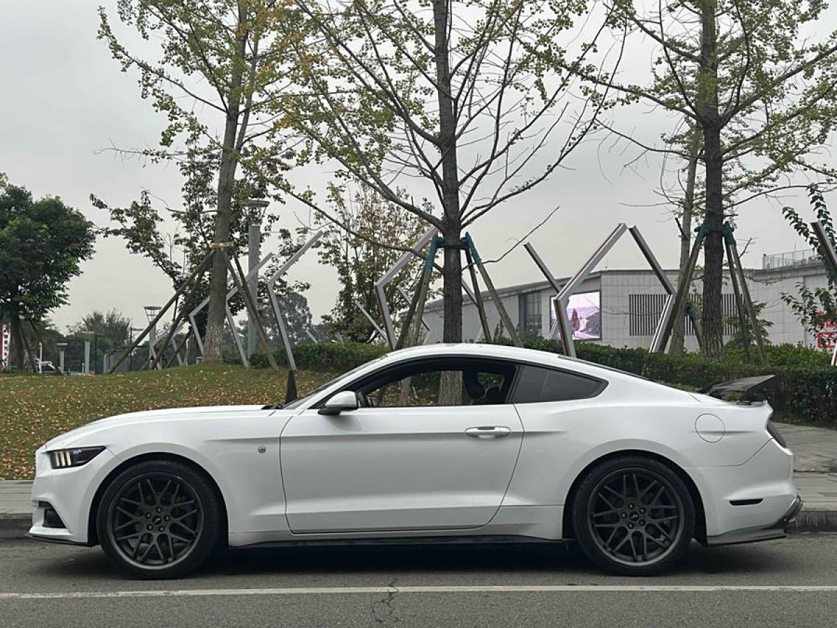 福特 Mustang  2015款 2.3T 50周年紀(jì)念版圖片