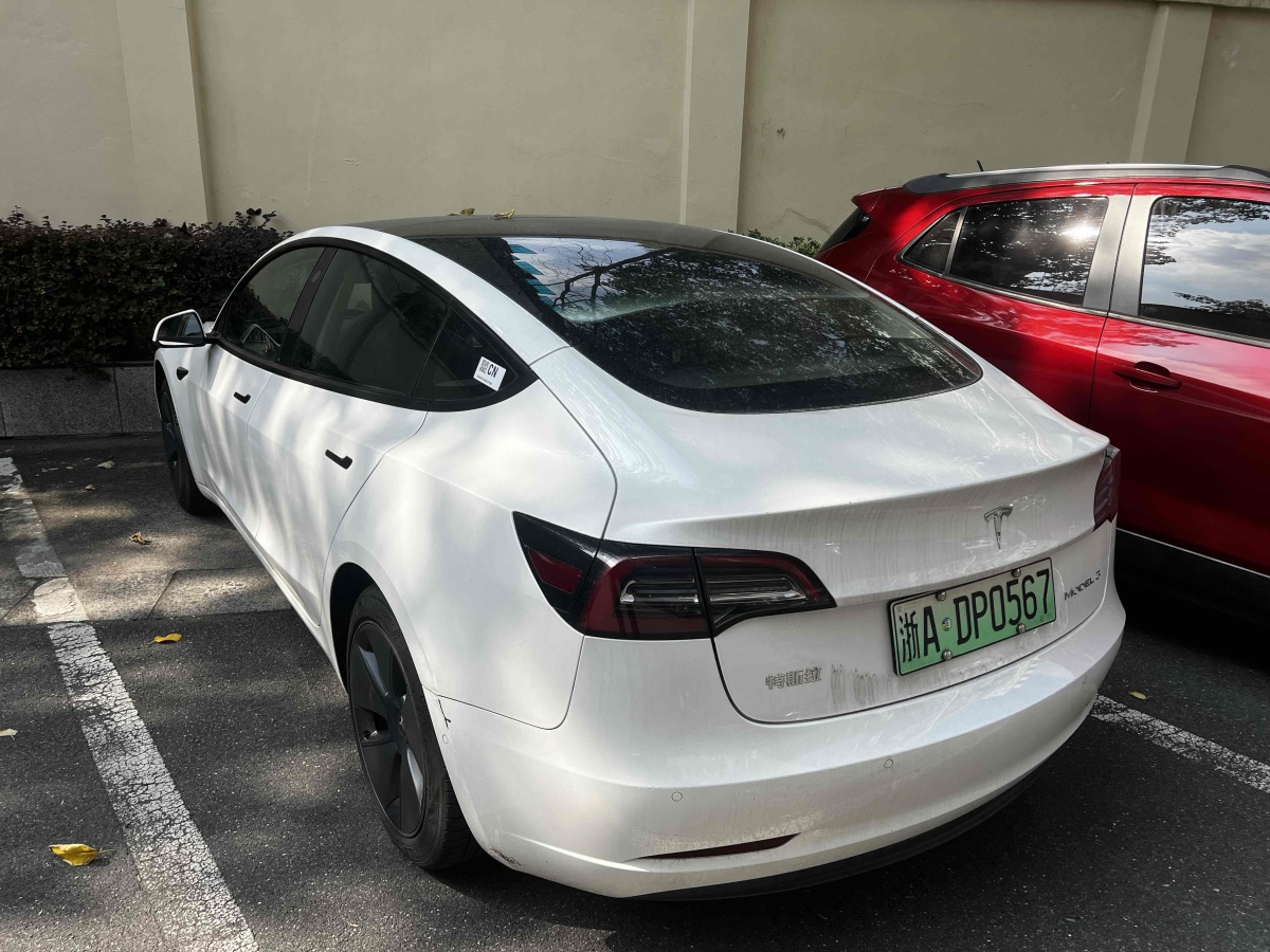 特斯拉 Model 3  2019款 標準續(xù)航后驅升級版圖片