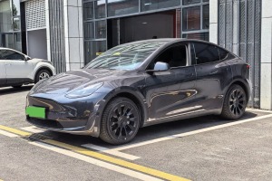 Model Y 特斯拉 后輪驅(qū)動(dòng)版