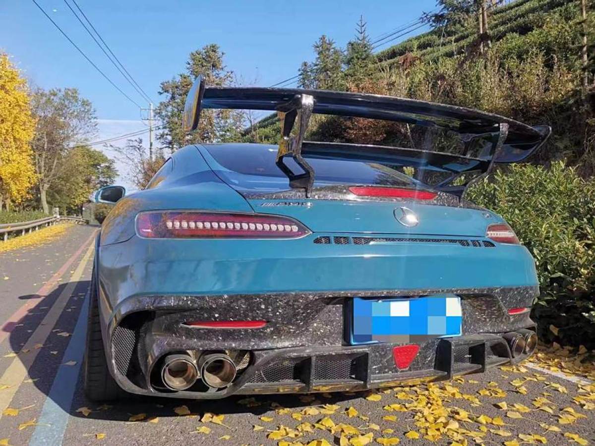 奔馳 奔馳AMG GT  2019款 AMG GT圖片