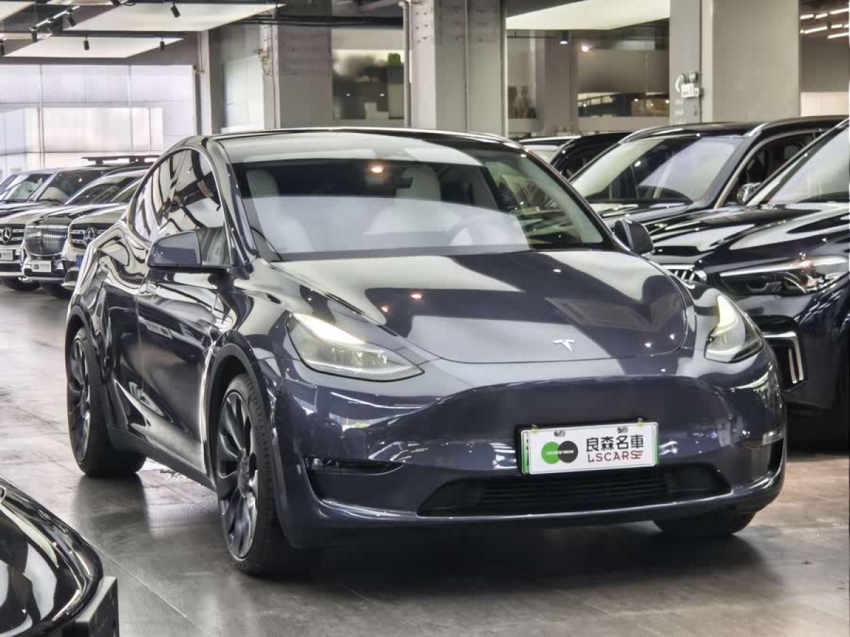 特斯拉 Model Y  2023款 高性能全輪驅(qū)動(dòng)版圖片