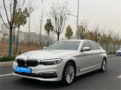 2019年5月 宝马 宝马5系 530Li 领先型 豪华套装图片