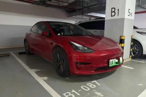 Model Y 特斯拉 Performance高性能全輪驅(qū)動(dòng)版