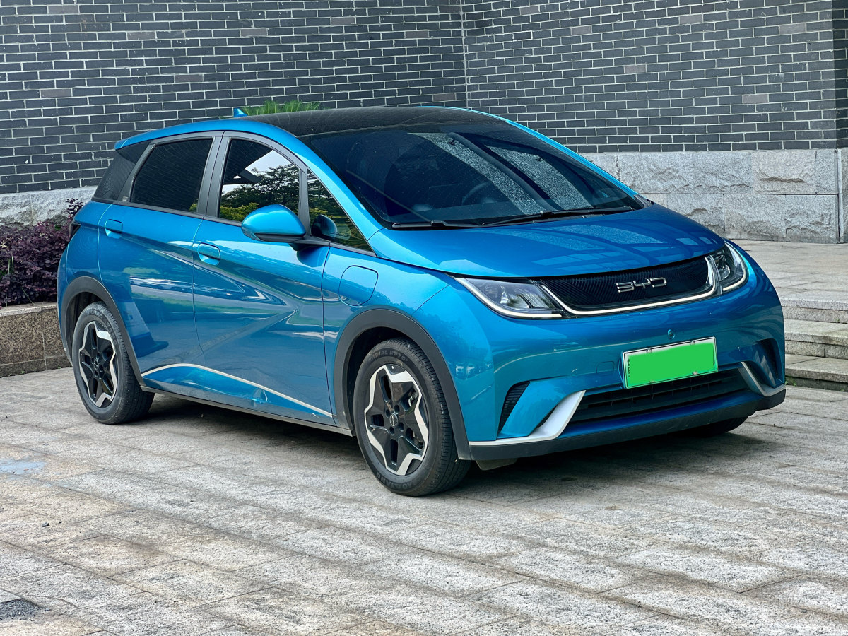 比亞迪 海豚  2021款 405km 時(shí)尚版圖片