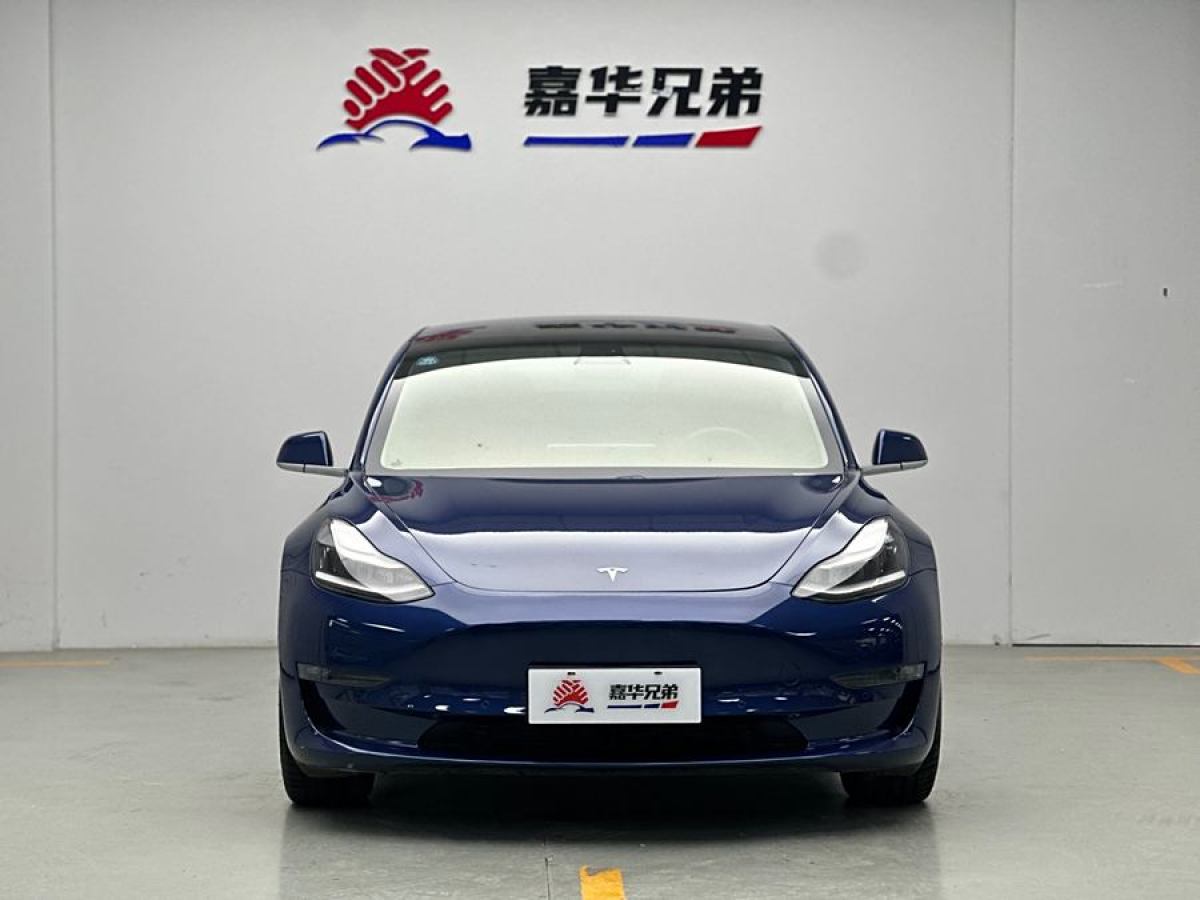 特斯拉 Model 3  2019款 長續(xù)航全輪驅(qū)動版圖片