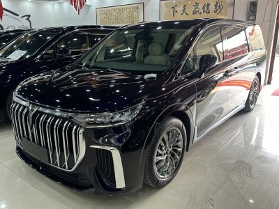 2023年10月 嵐圖 夢想家 PHEV 超長續(xù)航旗艦版圖片