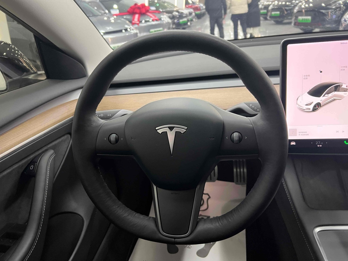 特斯拉 Model 3  2019款 Performance高性能全輪驅(qū)動(dòng)版圖片