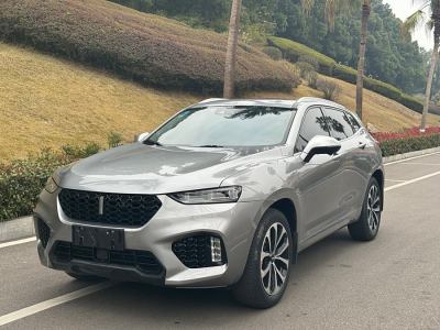 2019年5月 WEY VV7 升級(jí)款 2.0T 超豪型圖片