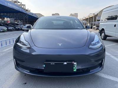 2020年3月 特斯拉 Model 3 標(biāo)準(zhǔn)續(xù)航后驅(qū)升級版圖片