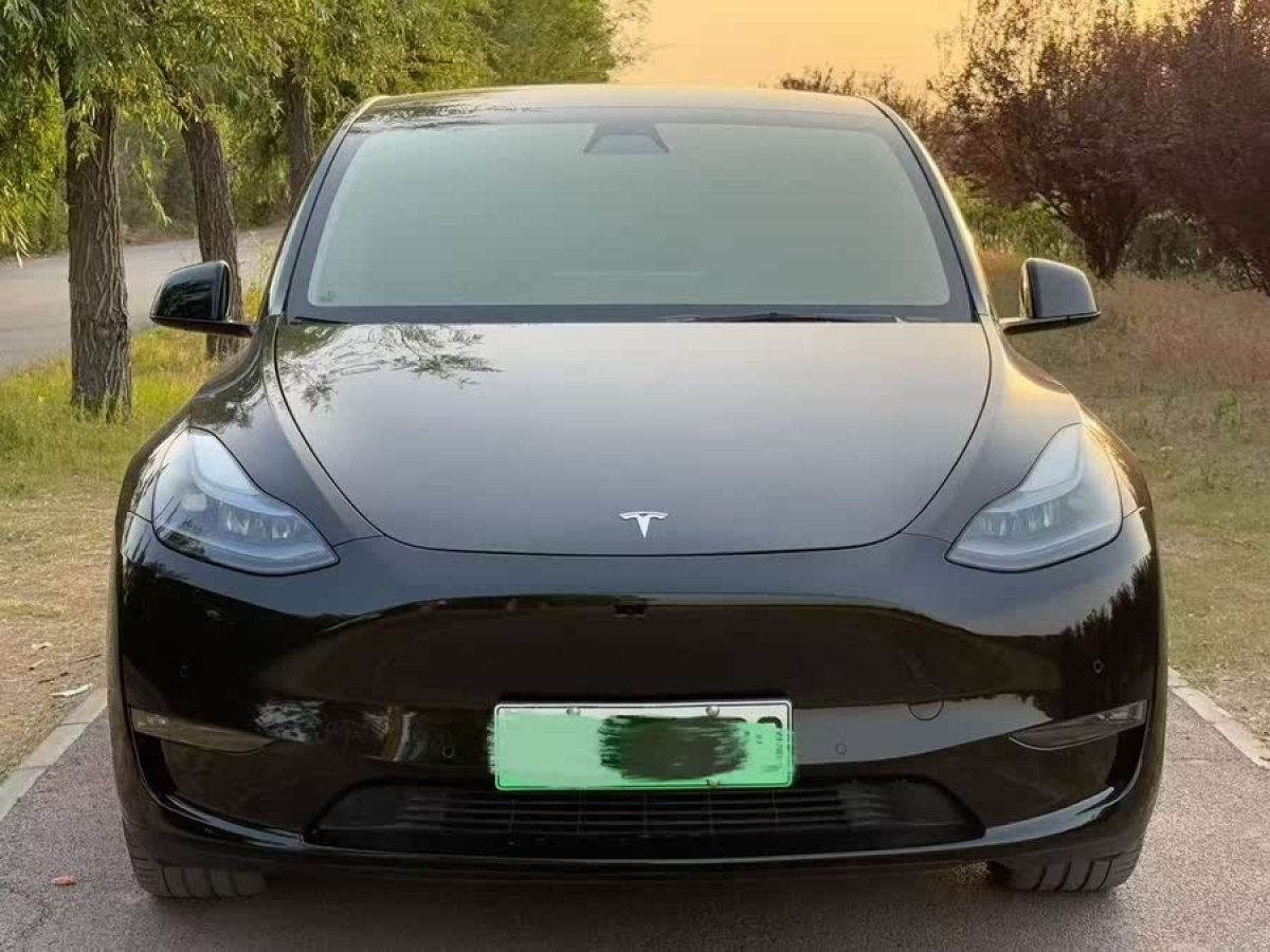 特斯拉 Model Y  2021款 標準續(xù)航后驅版圖片