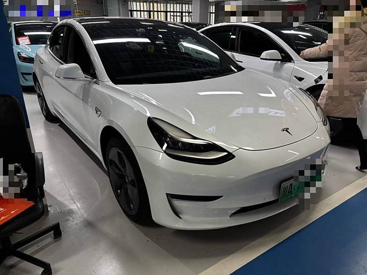 特斯拉 Model 3  2020款 改款 標(biāo)準(zhǔn)續(xù)航后驅(qū)升級(jí)版圖片