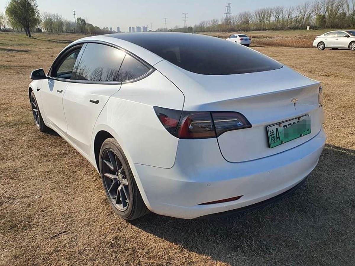 特斯拉 Model 3  2021款 改款 標準續(xù)航后驅(qū)升級版圖片