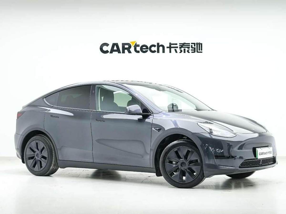 2024年5月特斯拉 Model Y  2020款 改款 長續(xù)航后輪驅(qū)動版