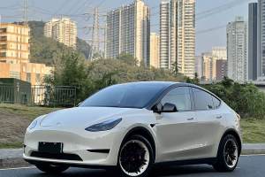 Model 3 特斯拉 后轮驱动版