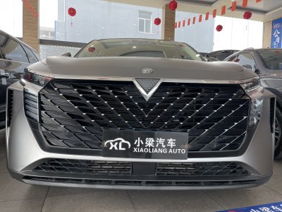 2021年11月 启辰 启辰大V 260T 爱豆版图片