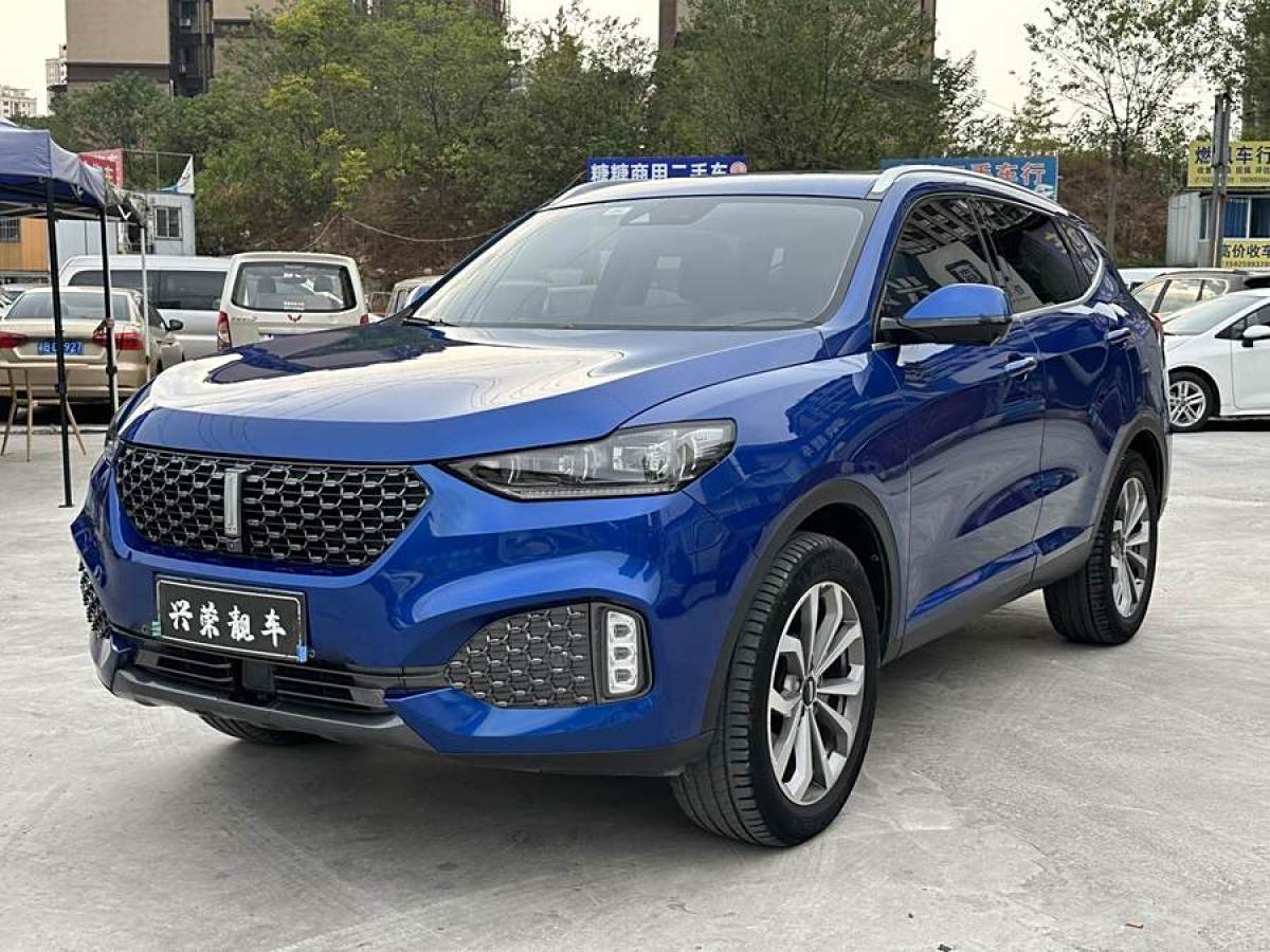 WEY VV6  2020款 2.0T 两驱智护+图片