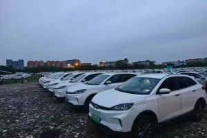 威馬W6 威馬 520km ACE極智版