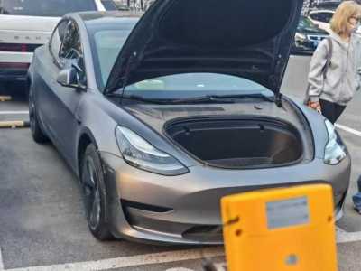 2020年9月 特斯拉 Model 3 標準續(xù)航后驅升級版圖片