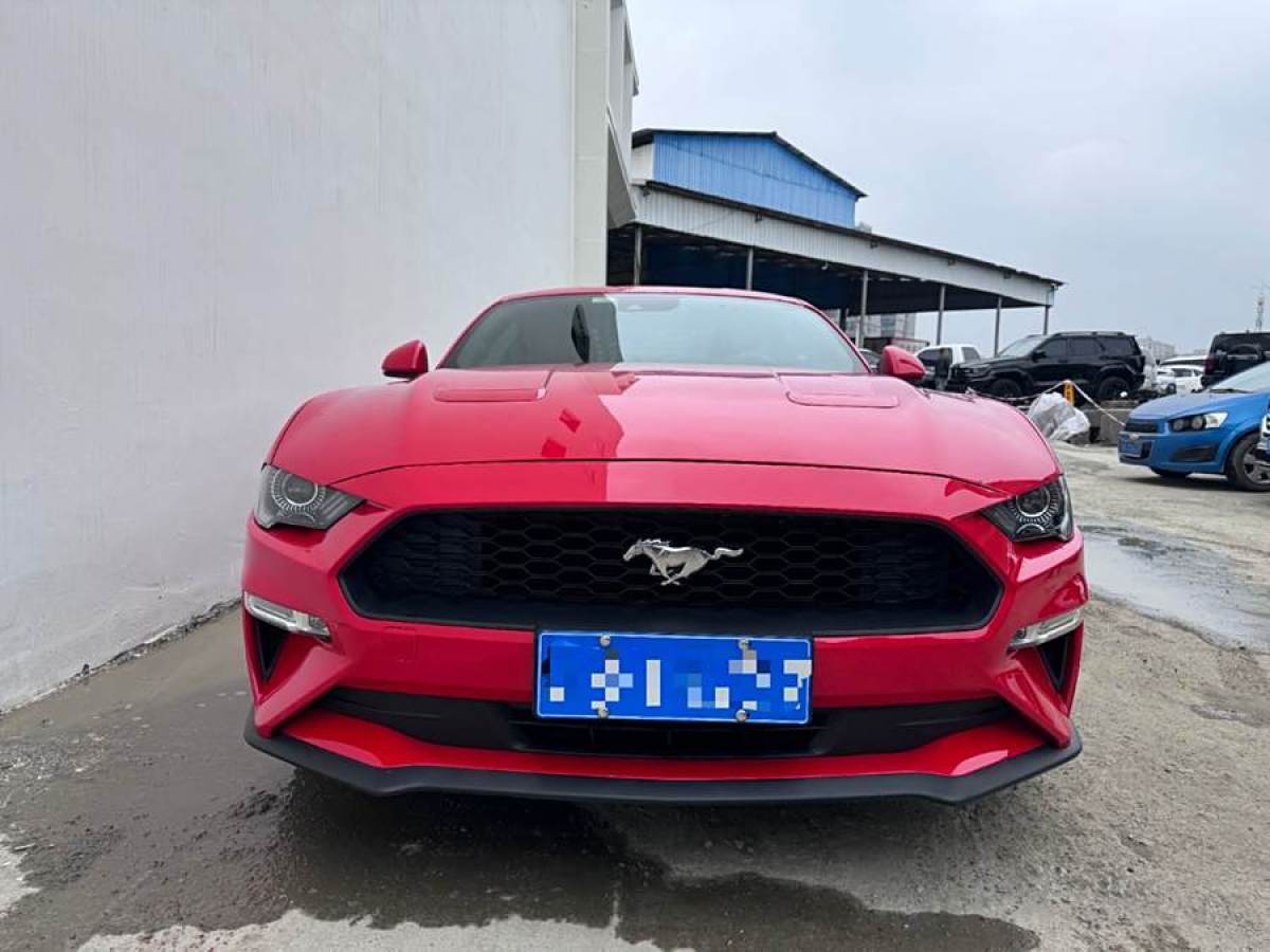 福特 Mustang  2019款 2.3L EcoBoost圖片