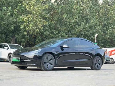 2022年5月 特斯拉 Model 3 改款 后轮驱动版图片