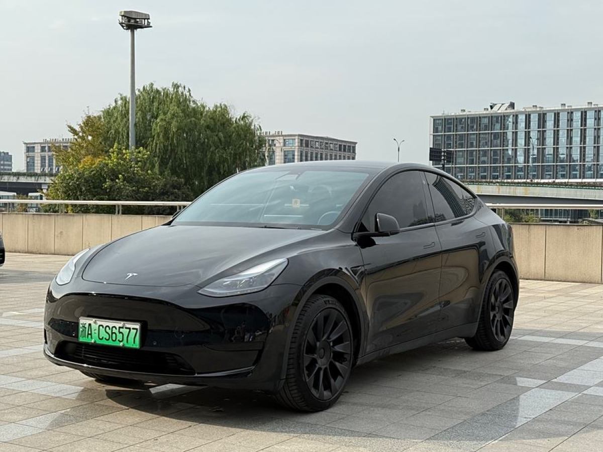 特斯拉 Model 3  2020款 改款 長續(xù)航后輪驅(qū)動版圖片