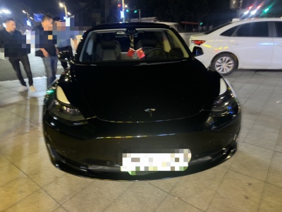 2021年1月 特斯拉 Model 3 標準續(xù)航后驅(qū)升級版圖片